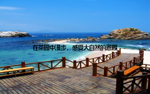 在茶园中漫步, 感受大自然的恩赐