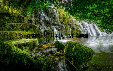 民宿内部以竹为主题, 古朴而典雅