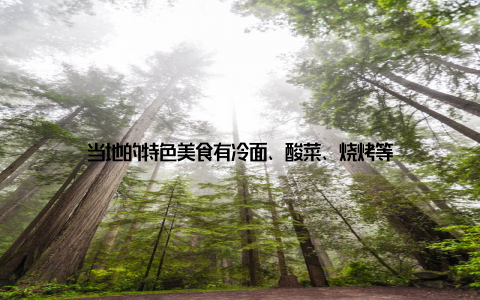 当地的特色美食有冷面、酸菜、烧烤等