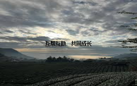 互帮互助, 共同成长