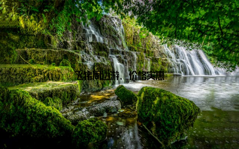 飞猪周边游, 价格实惠