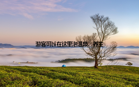 游客可以在这里泡温泉、养生