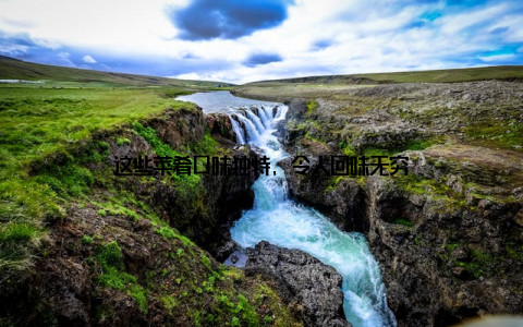 这些菜肴口味独特, 令人回味无穷