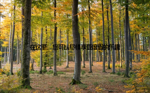 在这里, 您可以尽情享受度假的乐趣