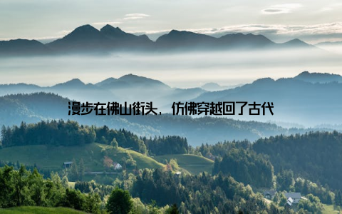 漫步在佛山街头, 仿佛穿越回了古代