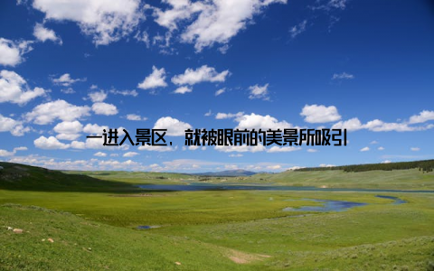 一进入景区, 就被眼前的美景所吸引