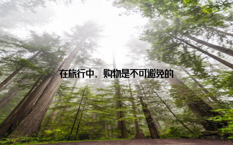 在旅行中, 购物是不可避免的