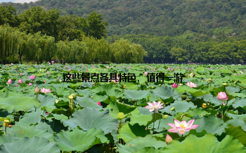 这些景点各具特色, 值得一游