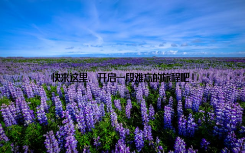 快来这里, 开启一段难忘的旅程吧!