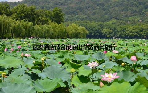 这类酒店适合家庭出游或商务旅行