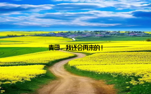 青田, 我还会再来的!