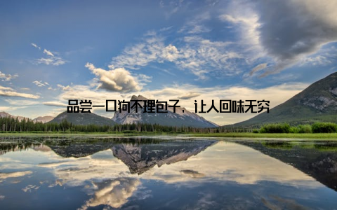 品尝一口狗不理包子, 让人回味无穷