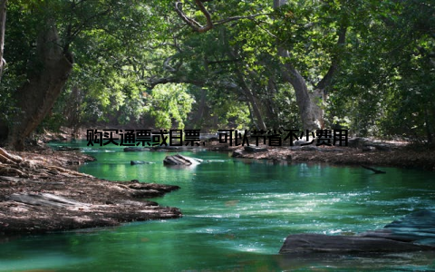 购买通票或日票, 可以节省不少费用