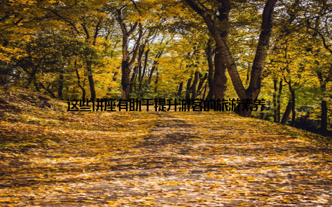 这些讲座有助于提升游客的旅游素养