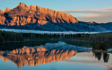 例如, 旅游签证通常不允许从事工作