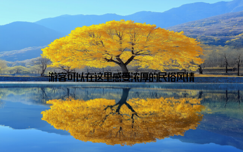 游客可以在这里感受浓厚的民俗风情