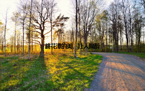 桃花潭的美, 让人陶醉