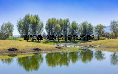 选择合适的交通方式, 确保出行顺畅