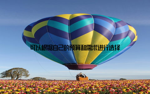 可以根据自己的预算和需求进行选择