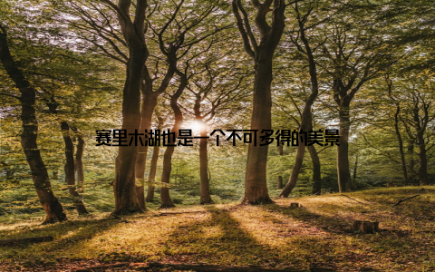 赛里木湖也是一个不可多得的美景