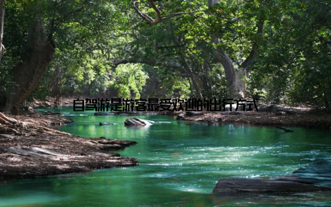 自驾游是游客最受欢迎的出行方式