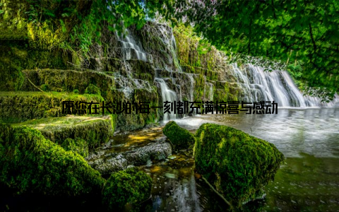 愿您在长沙的每一刻都充满惊喜与感动