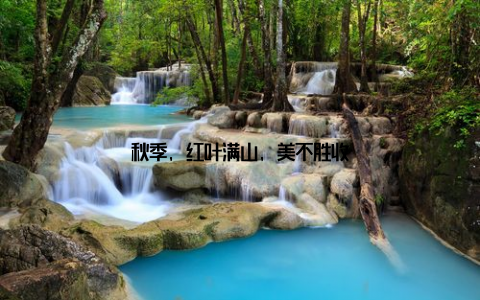 秋季, 红叶满山, 美不胜收