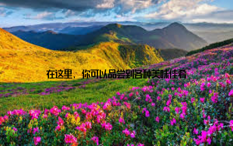 在这里, 你可以品尝到各种美味佳肴