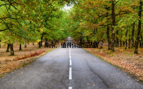 南京, 值得你细细品味