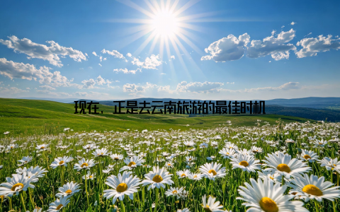 现在, 正是去云南旅游的最佳时机