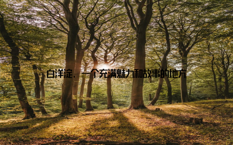 白洋淀, 一个充满魅力和故事的地方