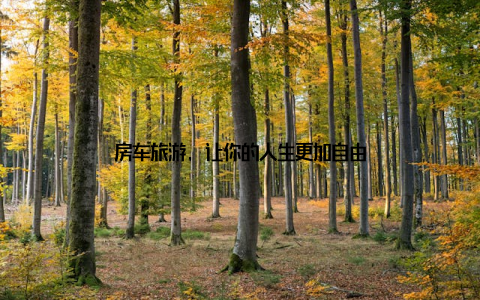 房车旅游, 让你的人生更加自由