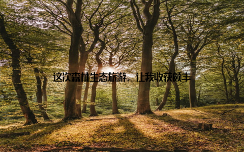 这次森林生态旅游, 让我收获颇丰