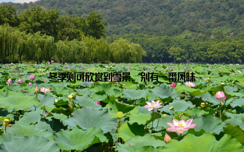 冬季则可欣赏到雪景, 别有一番风味