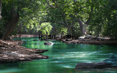 社会责任, 回馈社会