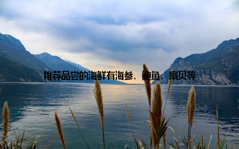 推荐品尝的海鲜有海参、鲍鱼、扇贝等