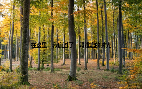 在这里, 我度过了一段难忘的时光