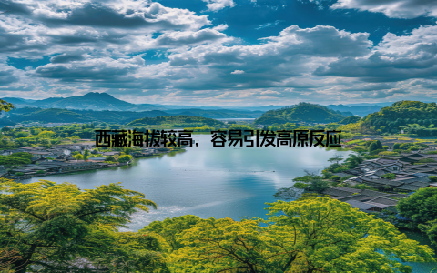 西藏海拔较高, 容易引发高原反应