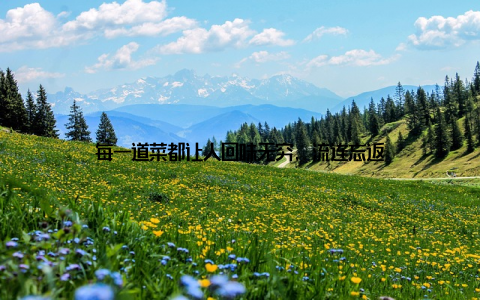 每一道菜都让人回味无穷, 流连忘返