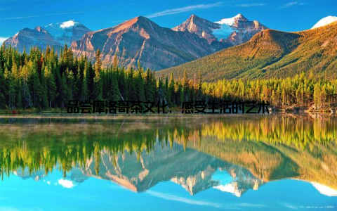 品尝摩洛哥茶文化, 感受生活的艺术