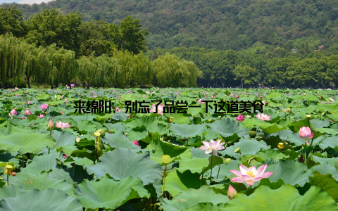 来绵阳, 别忘了品尝一下这道美食