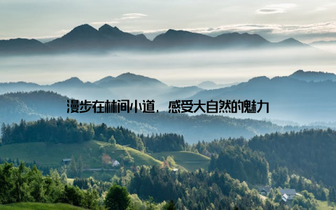 漫步在林间小道, 感受大自然的魅力