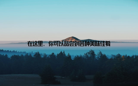 在这里, 你可以品尝到各种美味佳肴